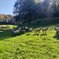 © Le Grand Karadok / Parc naturel régional du Morvan