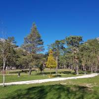 Camping municipal Verdon Carajuan**