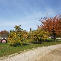 Camping de la Ferme de Vauvenières