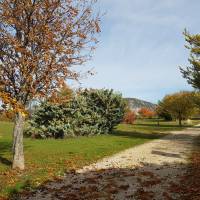 Camping de la Ferme de Vauvenières