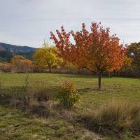 Camping de la Ferme de Vauvenières