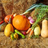 une diversité de légumes proposés
