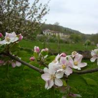 Ferme de Mailhac