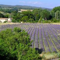 Mas La Baou PNR Luberon