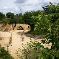 Bioparc PNR Loire Anjou Touraine©Bioparc