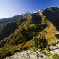Paysage