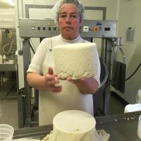 La fabrication des tommes de chèvre chez Roumanille