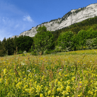 L'Abeille de François, petit coin de paradis@AbeilledeFrançois