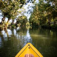 Balade en canoë dans le Marais poitevin