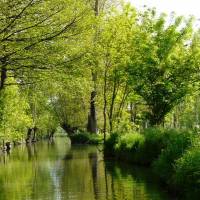 Les conches du  Marais poitevin