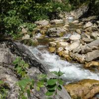 Anthony Franck - moniteur canyoning