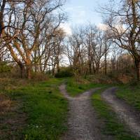 Chemins de Brenne au Blizon