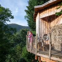 Les cabanes perchées du Grand Ballon ©Benoit FACCHI/PNRBV