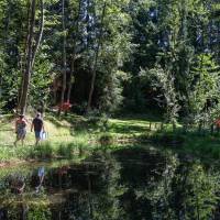 Camping Sites et Paysages au Clos de la Chaume Corcieux © Benoit Facchi / PNRBV