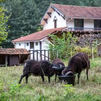 Gîte rural "Le Cottage" ©Bruno Beucher