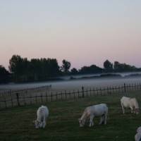 Vue sur le Marais poitevin