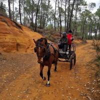 Provence Hipposervice