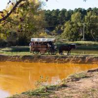 Provence Hipposervice