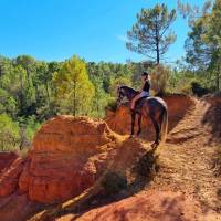 Provence Hipposervice