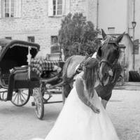 Provence Hipposervice