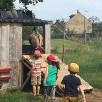 La Ferme des Capellous