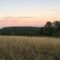 © Les jardins du Rebout / Parc naturel régional du Morvan