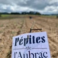 Les Pépites de l'Aubrac