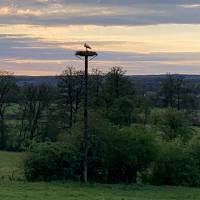 la biodiversité au coeur de la parcelle