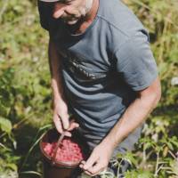 Vincent Pobelle en pleine cueillette!