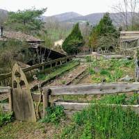 Jardin potager