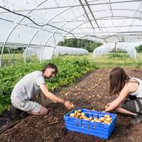 Les Jardins du Flixbourg ©Benoit FACCHI / PNRBV