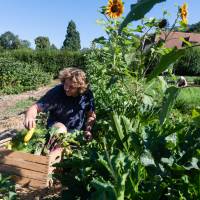 Les Jardins de Wesserling ©Benoit FACCHI / PNRBV