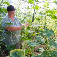 Les Jardins de Wesserling ©Benoit FACCHI / PNRBV