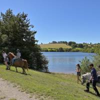 Les Gîtes de l'Aubrac