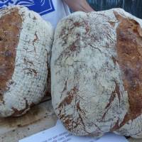 Pain paysan bio