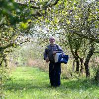 homme verger herbe pommier