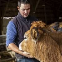 Ferme de Denis Raux