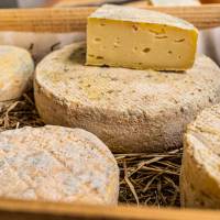 Fromage Ferme l'Andain - WeGo Productions - PNR Sainte-Baume