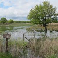 Réserve Naturelle Nationale de Chérine