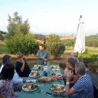 Table d'hôte sur la terrasse - Coqcooning - Parc naturel régional Livradois-Forez