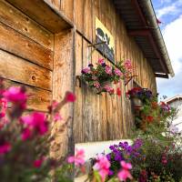 ferme fleurie