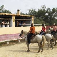 Manade Jacques Mailhan - spectateurs