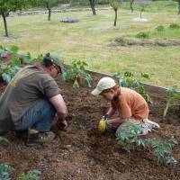 Le potager de la Garonne