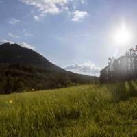 Terre des Baronnies 