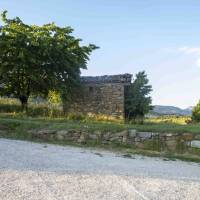 Terre des Baronnies 