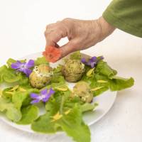 Cuisine savoureuse