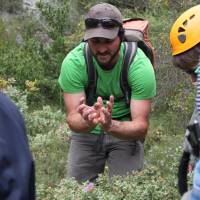 Alpilles Aventure - Swan del Corso