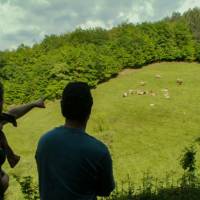 © Montagne Haut-Languedoc - Ferme de Besses