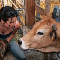 © Montagne Haut-Languedoc - Ferme de Besses