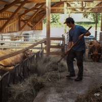 © Montagne Haut-Languedoc - Ferme de Besses